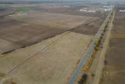 Teren agricol extravilan de 22500 mp, în Est - 9