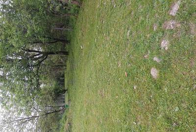 Teren de 1860 mp, în Valea Unghiului - 4