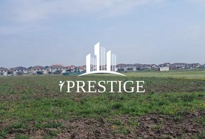 Teren agricol extravilan de 10000 mp, în Șura Mică - 2