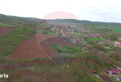 Teren de 10000 mp, în Moldovenești - 2