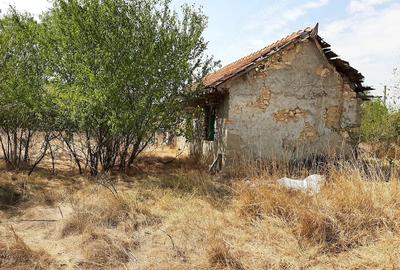 Casă cu 3 camere cu Teren 2400 Mp în Central