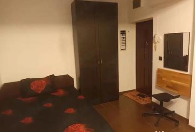 Garsonieră în Tineretului