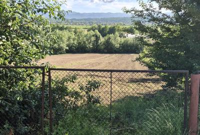 Teren intravilan de 1290 mp, în Coltău - 4