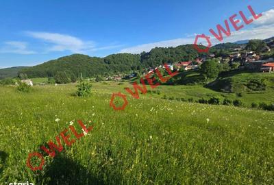 Spațiu comercial, în Acriș - 6