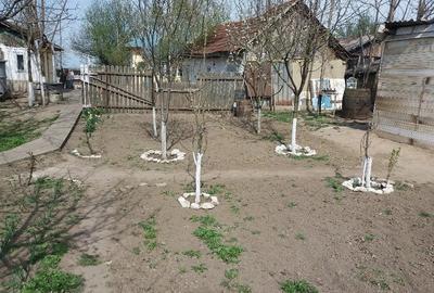 Casă cu 4 camere cu Teren 3210 Mp în Constantinești