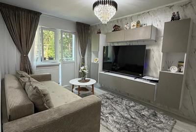 Apartament cu 2 camere semidecomandat în Sârbi - 8