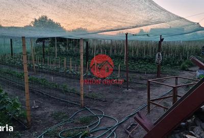 Casă cu 2 camere cu Teren 1711 Mp în Topraisar