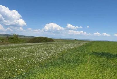Teren de 2800 mp, în Podu Oltului - 2