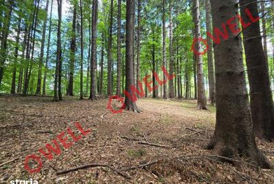Teren de 23000 mp, în Vama Buzăului - 11