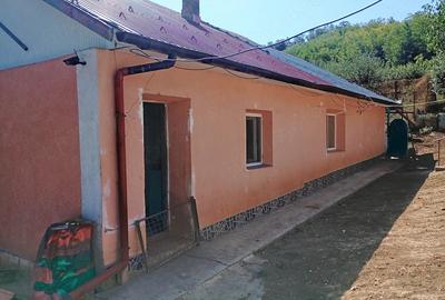 Casă cu 3 camere cu Teren 2500 Mp în Rebricea