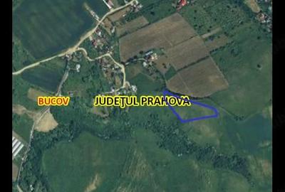 Teren de 17800 mp, în Bighilin
