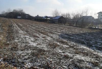 Teren de 1160 mp, în Jilava