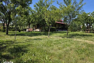 Casă cu 4 camere cu Teren 5095 Mp în Șoimuș - 3