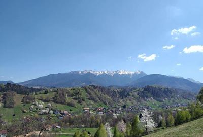 Teren de 6804 mp, în Șimon - 7