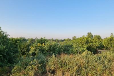 Teren Construcții intravilan de 1000 mp, în Clinceni - 5