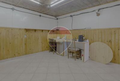 Spațiu comercial, de 100 mp, în Noua