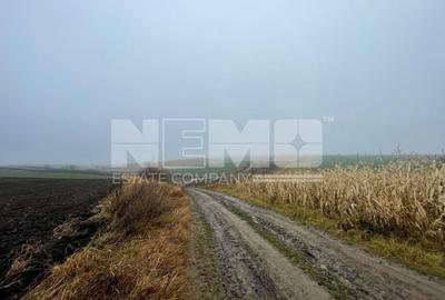 Teren agricol extravilan de 28400 mp, în Dărmănești - 13