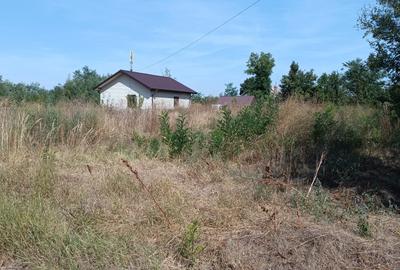 Teren agricol extravilan de 1137 mp, în Poienarii Burchii - 4