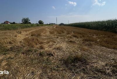 Teren de 1680 mp, în Ipotești