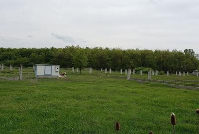 Teren de 543 mp, în Gepiu - 10
