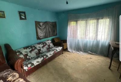 Casă cu 3 camere în Ion Creangă