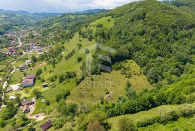 Teren Construcții intravilan de 11381 mp, în Moieciu - 13