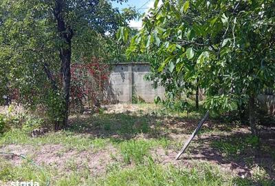 Casă cu 4 camere cu Teren 608 Mp în Rogerius