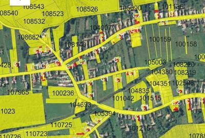Teren de 2400 mp, în Șura Mică - 10