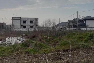 Teren de 5000 mp, în Podari - 2