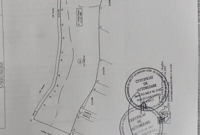 Teren agricol extravilan de 30000 mp, în Reghin - 3