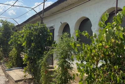 Casă individuală cu 4 camere cu Teren 2378 Mp în Mihăița
