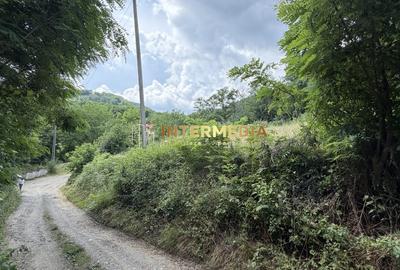 Teren Construcții intravilan de 1257 mp, în Meteș - 3