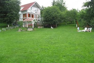 Casă cu Teren 4000 Mp în Central - 10