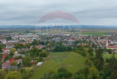 Teren Construcții intravilan de 726 mp, în Central - 4