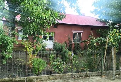Casă cu Teren 800 Mp în Antonești