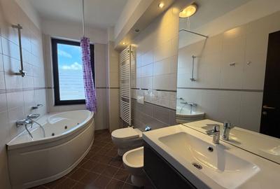 Apartament cu 3 camere decomandat, mobilat în Iancu Nicolae - 14