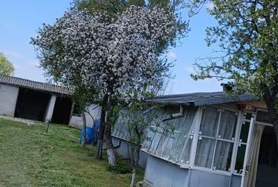 Casă cu 4 camere în Coșereni