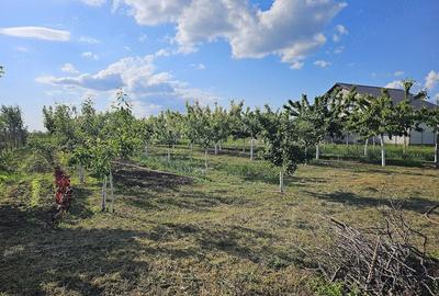 Casă cu Teren 1405 Mp în Sâmbăteni - 8