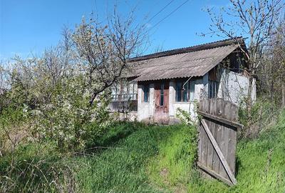 Teren intravilan de 1246 mp, în Rediu - 10