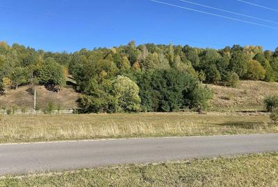 Teren de 2000 mp, în Băile Chirui