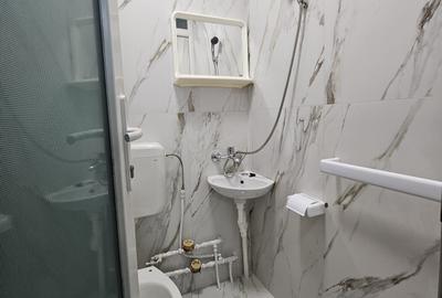 Garsonieră în Seleuș - 9