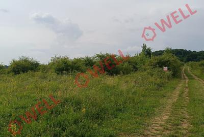 Teren Construcții intravilan de 7900 mp, în Livezeni - 2