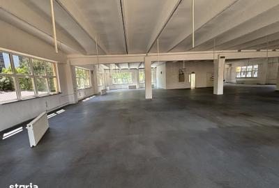 Spațiu comercial, de 1,405 mp, în Lăpuș Argeș