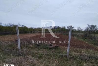 Teren de 888 mp, în Paleu