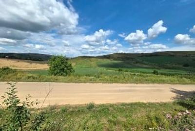 Teren agricol extravilan de 2900 mp, în Pata