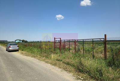 Teren Construcții intravilan de 582 mp, în Copăceni - 20