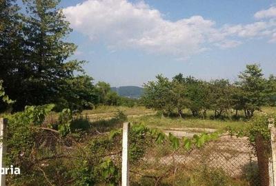 Teren de 85000 mp, în Alexandru cel Bun - 6