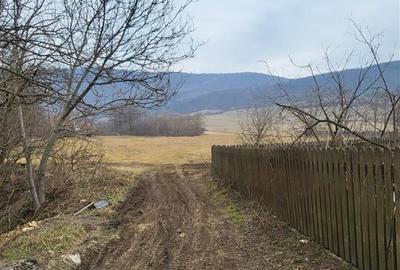 Teren Construcții intravilan de 2200 mp, în Mera - 1