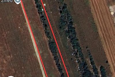 Teren Construcții intravilan de 4000 mp, în Olteni - 1