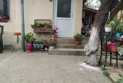 Casă cu 3 camere cu Teren 1800 Mp în Central